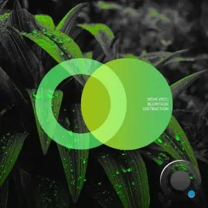 Deva Vicci, BlowTack - Distraction (2026)