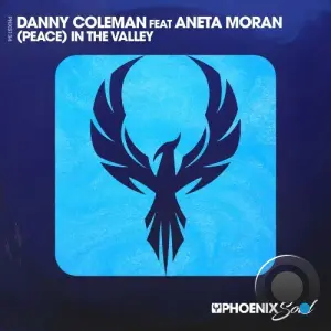 Danny Coleman feat Aneta Moran - (Peace) In The Valley (2026)