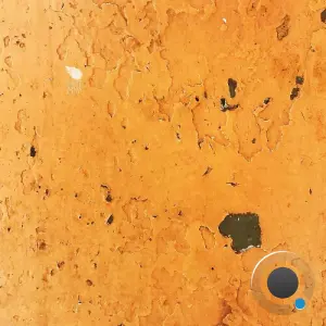 HARCOREY - PSYCLES (2026)