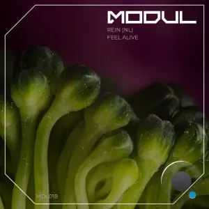 Rein (NL) - Feel Alive (2026)