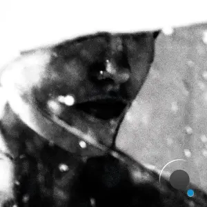 Purgate - Leavings (2026)