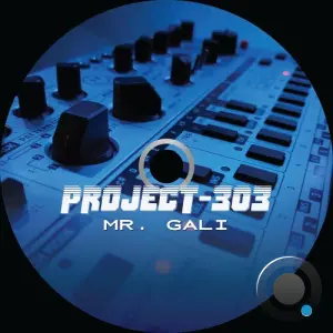Mr. Gali - Project 303 (2026)