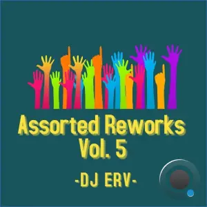 DJ ERV - Assorted Reworks Vol. 5 (2026)