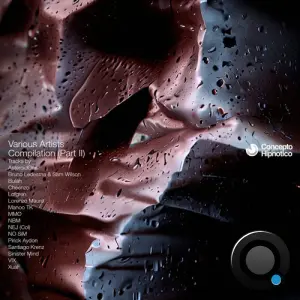 Various Artists Compilation, Vol. 2 (2026)