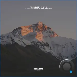 ThinkDeep - No Need (2026)