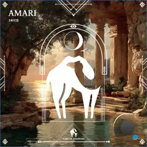 S4HIB - Amari (2026)