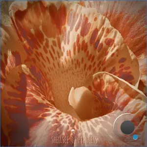Shellsee - Princess (2026)