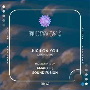 Fluto SL - High on You (2026)