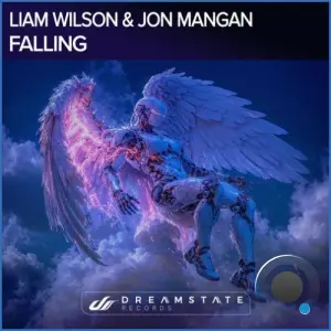 Liam Wilson & Jon Mangan - Falling (2026)