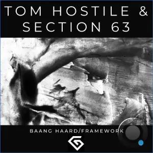 Tom Hostile, Section 63 - Baang Haard / Framework (2026)