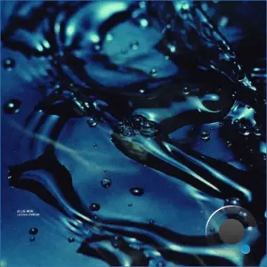 ELLIE NOR - Human Error (2026)