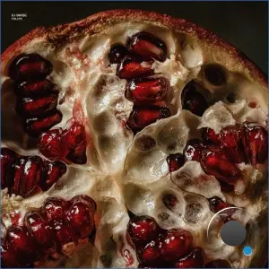 DJ Maybe - Fruits (2026)