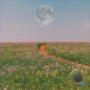 nCamargo - The Scenic Route (2026)
