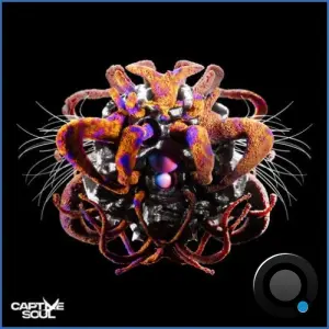 Glowal & Dreya V - Physique (2026)