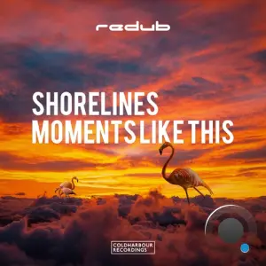 Redub - Shorelines and Moments Like This (2026)