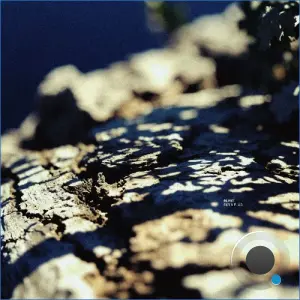 BLVNT - Rizla Plus (2026)
