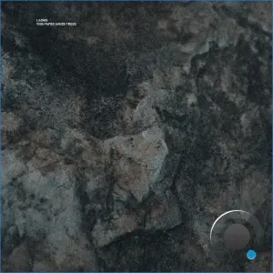 Laekis - This Paper Saves Trees (2026)