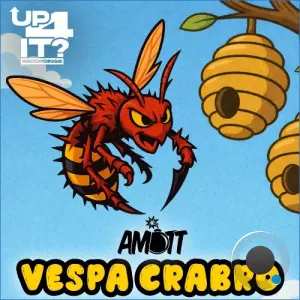 Amott DnB - Vespa Crabro (2026)