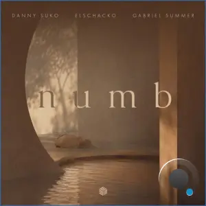 Danny Suko and ElSchacko and Gabriel Summer - Numb (2026)