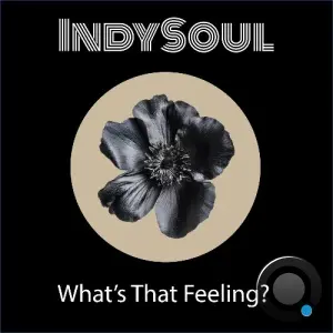 Indysoul - What's That Feeling? (2026)