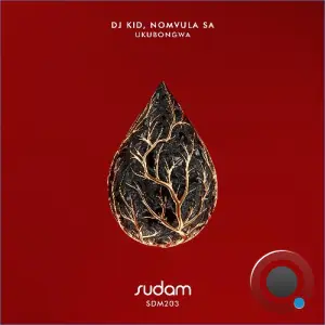 DJ Kid, Nomvula SA - Ukubongwa (2026)