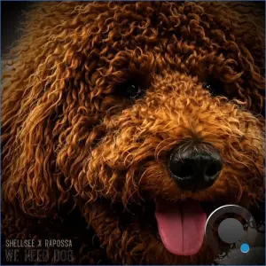 Rapossa & Shellsee - We Need Dog (2026)