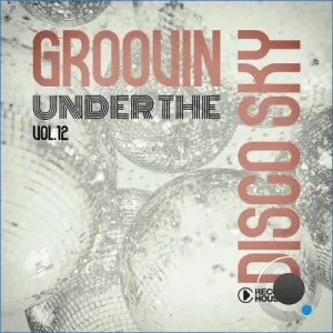 Groovin Under The Disco Sky, Vol. 12 (2026)