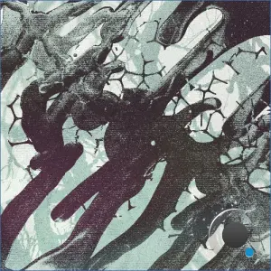 Diasiva - Durometer (2026)