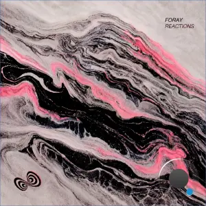 Foray & Nik Fury - Reactions (2026)