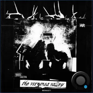 The Virginia Valley - Amnesia Colectiva: Remixes (2026)
