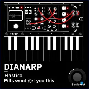 Dianarp - Soulsynth 12 (2026)