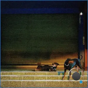 Overmono - Pure Devotion (2026)