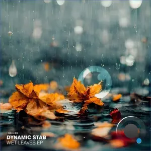 Dynamic Stab - Wet Leaves (2026)