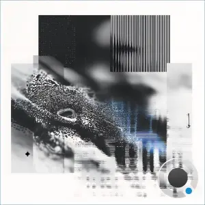 Basi - Rush - Careless (2026)