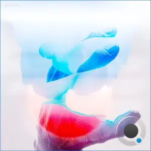 Various Artists 003 (2026)