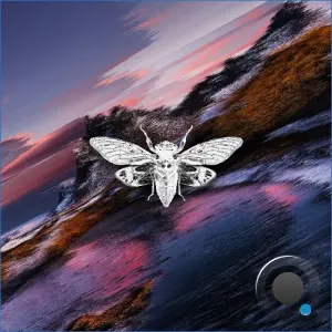 Distorted Reality Vol. V (2026)