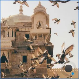 Turning Jewels Into Water - Morning Birds And Distant Drums (2026)