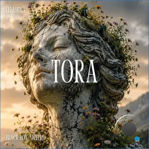 Anvero, Black Box (DE) - Tora (2026)