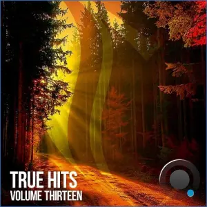 True Hits, Vol. 13 (2026)