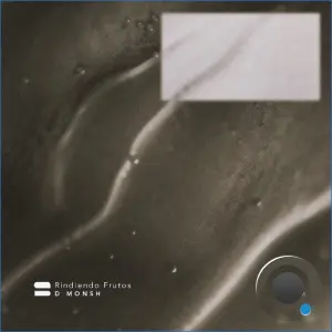 D MONSH - Rindiendo Frutos (2026)