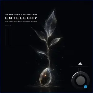 Boundless, Aaron King - Entelechy (2026)