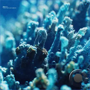 Immunity - Todo Tiene Que Cambiar (2026)