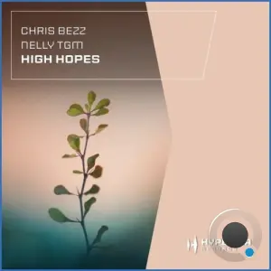 Chris Bezz & Nelly Tgm - High Hopes (2026)