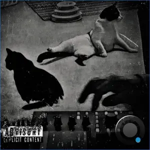 Jazzy Lion Man x Skip The Kid - Don't Skip The Lion (2026)