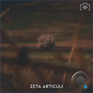 Thenticy - Zeta Articuli (2026)