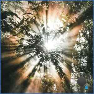 Faserklang - Conciousness (2026)