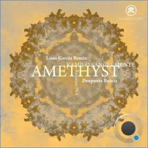 Kamilo Sanclemente - Amethyst: Remixes (2026)