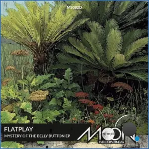 FLATPLAY - Mystery Of The Belly Button (2026)