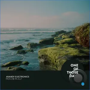 Avandy Electronics - Hoodie in July (2026)