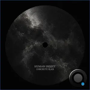 Human Insect - Concrete Slab (2026)